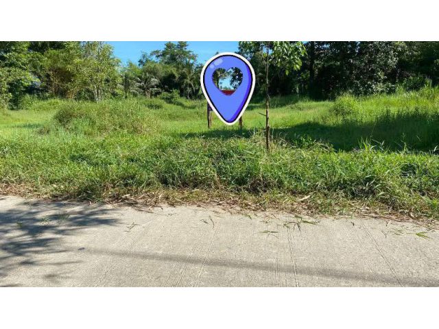 ขายด่วน️ที่ดิน1ไร่290 ตรว.ถูกมาก ติดถนน