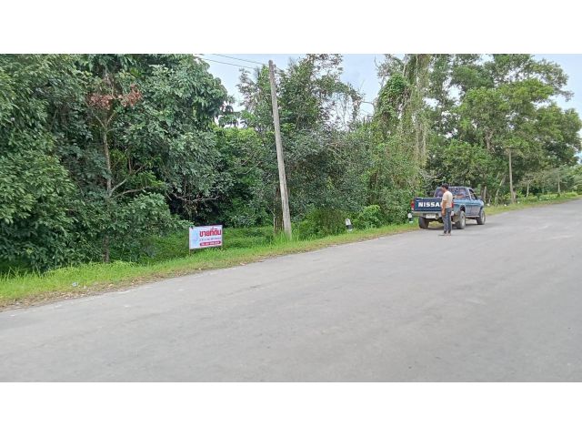 ขายที่ดินทำเลดี ตรงกันข้ามประตูน้ำท่าตะเภา ไกล้ศูนย์ราชการ ตัวเมืองชุมพร