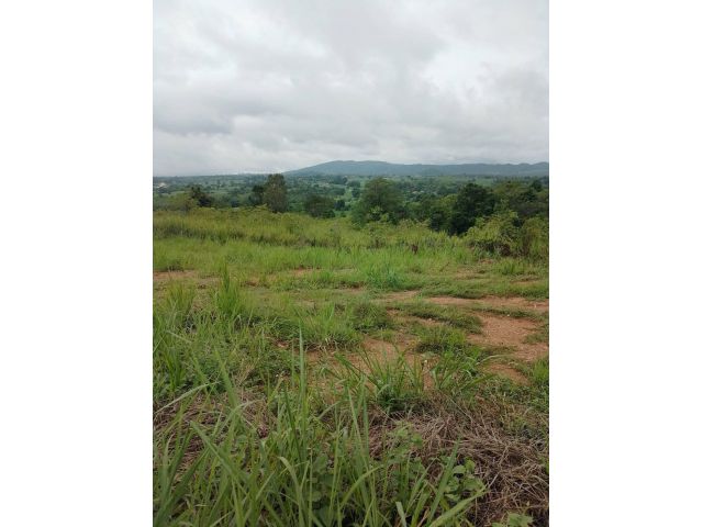 ขายถูกที่ดิน ตำบลวังน้ำเขียว อำเภอวังน้ำเขียว นครราชสีมา 38 ไร่