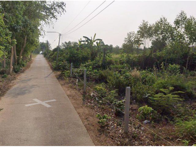 ขายที่ดินหนองยาว 2 ไร่ ติดถนนคอนกรีตซอยวัดต้นตาล ใกล้ถนนเส้น3076-850เมตร อ.พนมสารคาม ฉะเชิงเทรา