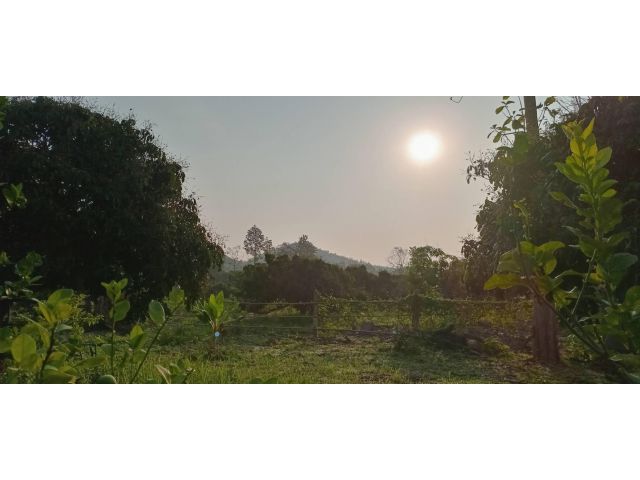 ขายถูกที่ดินสวยมีพืชสวน ติดถนนน้ำไฟถึงบรรยากาศมีวิวดอย อยู่ในชุมชนสะดวกทุกอย่างเดินทางสะดวก เหมาะปลูกบ้านสวน น้ำไม่ท่วม