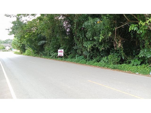 ขายที่ดินว่างเปล่า 1 ไร่ 1 งาน 96 ตารางวา