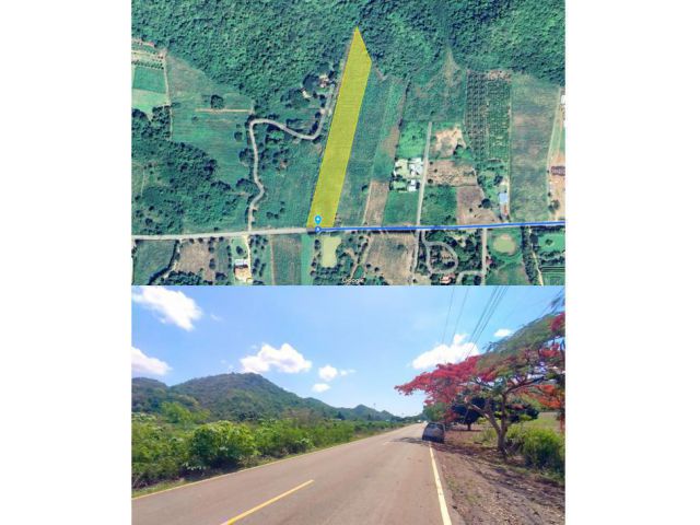 ที่ดิน 6 ไร่ 3 งาน 68 ตารางวา ตำบลหนองน้ำแดง อำเภอปากช่อง จังหวัดนครราชสีมา