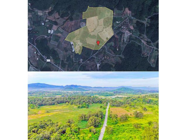 ที่ดิน 736 ไร่ ตำบลท่ามะปราง อำเภอแก่งคอย สระบุรี ติดถนน ไฟฟ้า เป็นที่ไร่ เนินเขา วิวเขาสวย