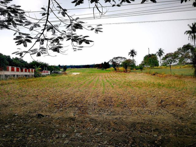 L766 ขายที่ดินผังสีม่วงลาย 22 ไร่ นิคมพัฒนา ระยอง