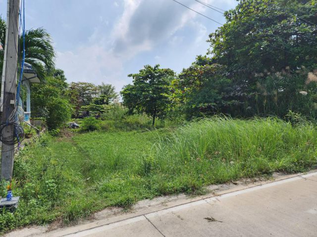 L771 ขายที่ดินสวยทำเลดี 1 ไร่ เมืองชลบุรี