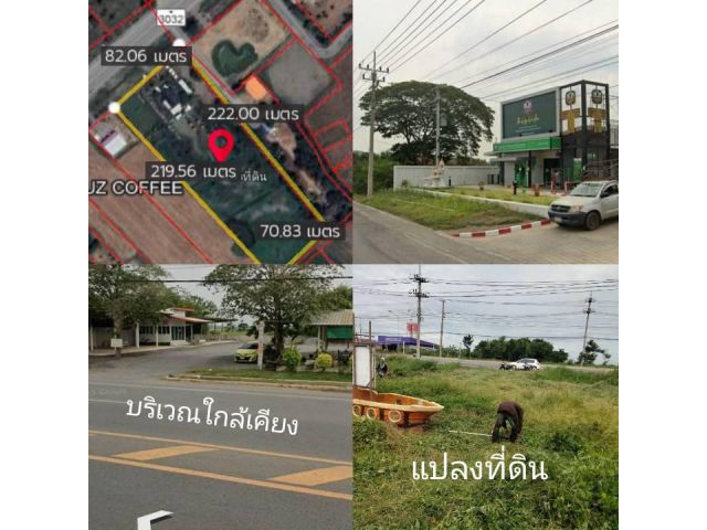 ขายที่ดินพื้นที่ 10 ไร่ ติดถนนหลวงลาดยาง สายสิงห์บุรี-สุพรรณบุรี