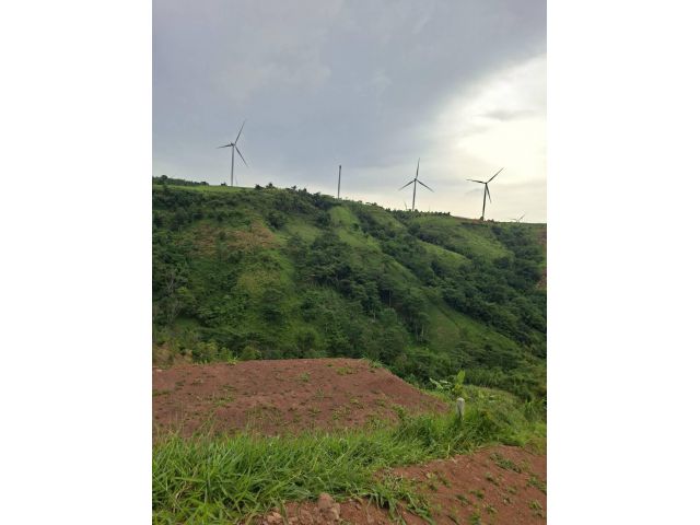 ด่วนที่สุด ขายที่ดินติดทุ่งกังหันลม เขาค้อ จำนวน 21 ไร่