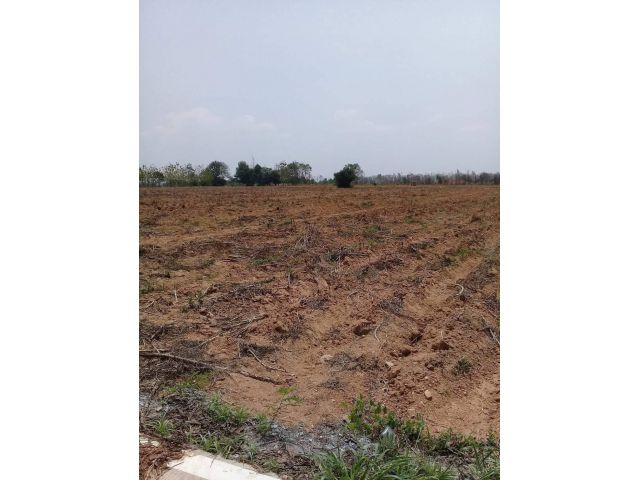 L775 ขายที่ดินใกล้ถนน.331  7 ไร่ พนัสนิคม ชลบุรี