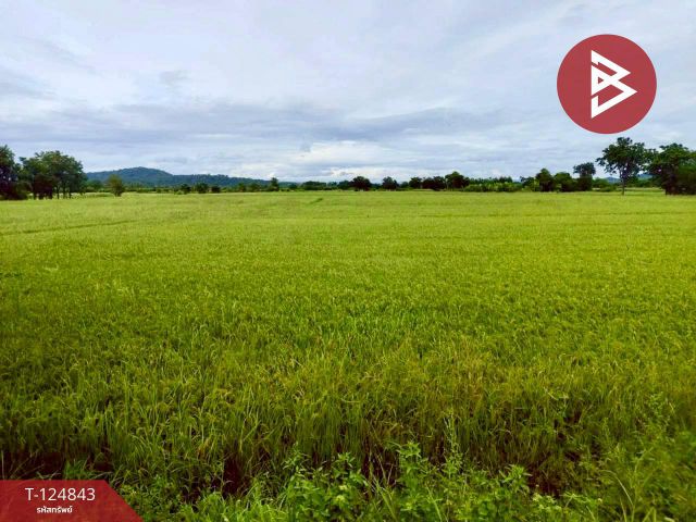ขายที่ดิน เนื้อที่ 8 ไร่ 2 งาน 80.8 บึงสามพัน เพชรบูรณ์