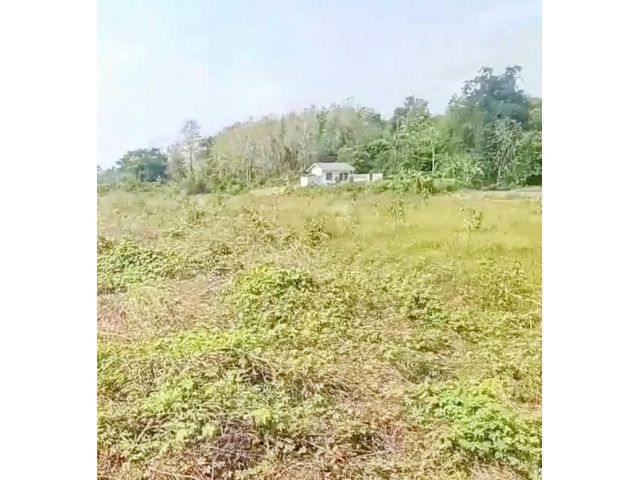 ที่ดินมีโฉนด เขต อ.เมืองอุตรดิตถ์ ไร่ไม่ถึงแสน