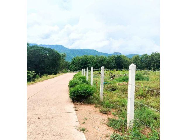 ที่ดินพร้อมสวนผลไม้ผสม วิวสวย อ.น้ำปาด อุตรดิตถ์