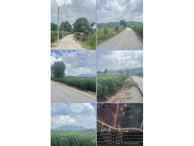 ที่ดินติดถนนวิวเขาน้ำไฟพร้อม