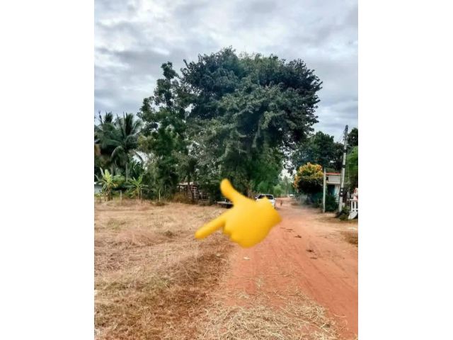 ที่ดินอยู่อาศัย แปลงเล็ก 275,000 บาท นางรอง บุรีรัมย์