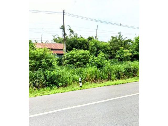 ที่ดินอนาคตดี ติดถนนสายหลัก ต่ำกว่าราคาประเมิน