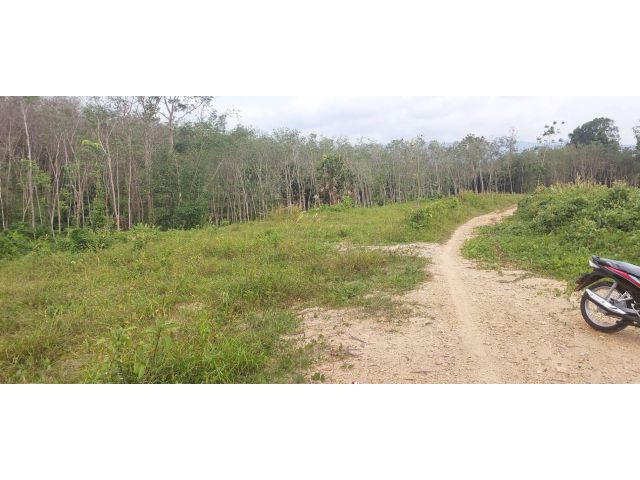 ขายที่ดินเปล่า14ไร่กว่า ๆและ 9ไร่กว่า 2 แปลง