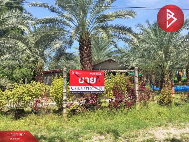 ขายที่ดินพร้อมสวนอินทผลัม 1 ไร่ 1 งาน 49.8 ตารางวา บ้านโป่ง ราชบุรี ทำเลดี