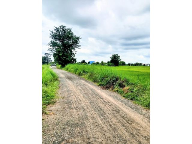 ที่นาแปลงสวย ใกล้ถนนหลัก ติดทางสาธารณะ รถยนต์เข้าได้ถึงที่ นางรอง บุรีรัมย์