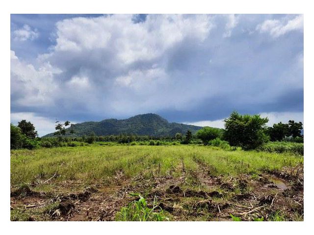 แปลงเล็ก2ไร่(โฉนด)ต.ศิลาทิพย์ อ.ชัยบาดาล จ.ลพบุรี