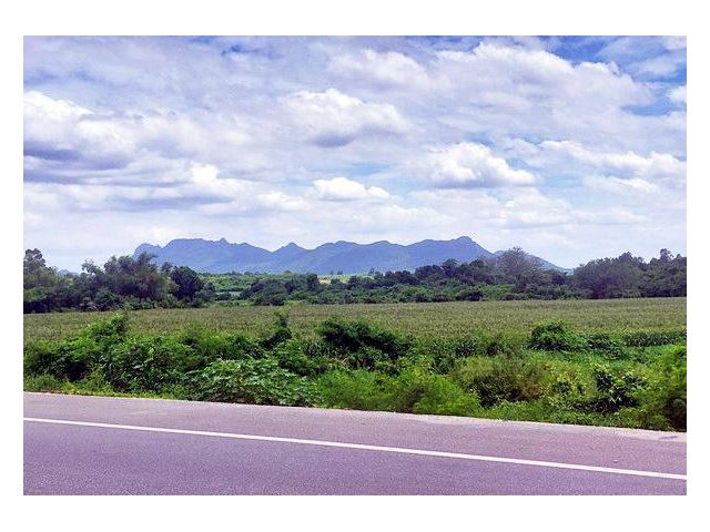 ขายที่ดิน(โฉนด)21ไร่ติดคลองลำสนธิ ต.หนองรี อ.ลำสนธิ จ.ลพบุรี
