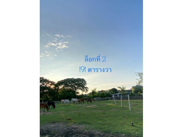 ขายที่ดินเปล่า พร้อมปลูกบ้านได้ ติดธรรมชาติ (เจ้าของขายเองค่ะ)