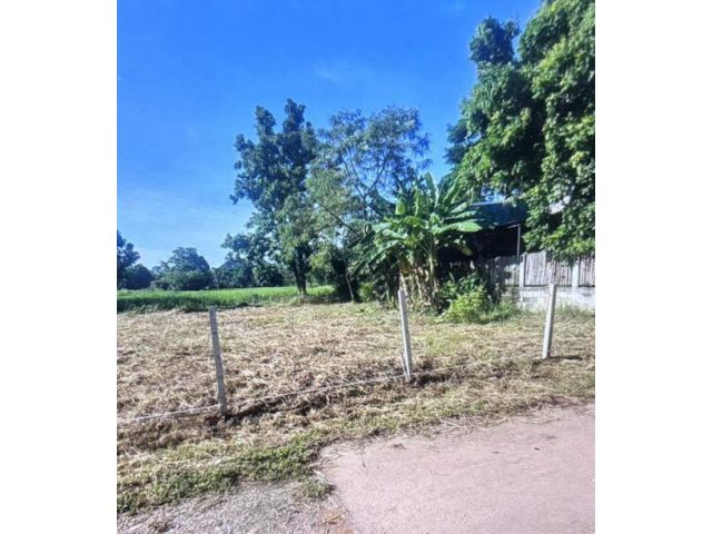 ขายที่ดินโนนตุ่น 2 แปลง (แปลงติดกัน)