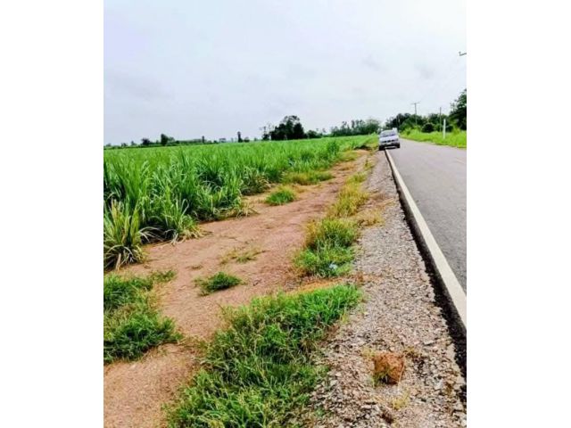 ติดถนนลาดยาง มีแหล่งน้ำ ราคาถูก