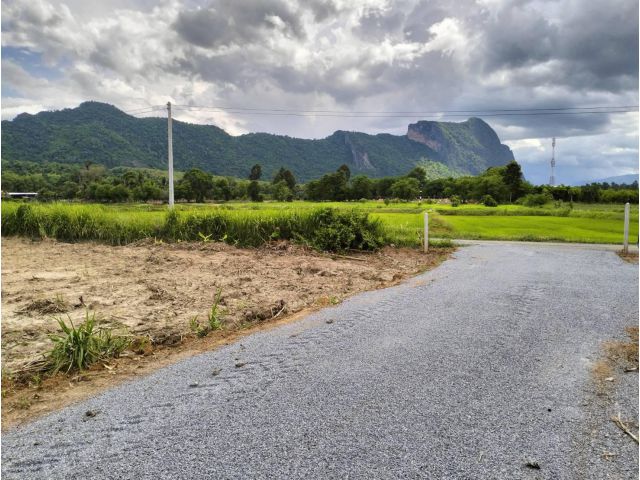 ที่ดินโฉนดพร้อมโอน 218 ตรว. ต.ผานกเค้า อ.ภูกระดึง จ.เลย เพียง 230,000 บาท