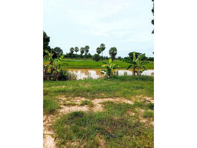 ที่ดินแปลงสวย ถมแล้ว วิวทุ่งนา บรรยากาศดี อ.นางรอง บุรีรัมย์