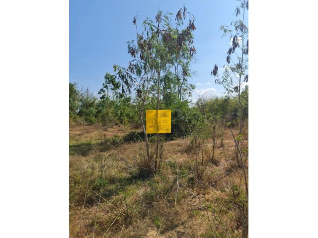 ขายที่4ไร่ 3งาน ท่ายาง ใกล้โครงการชั่งหัวมัน ห่างถนนหลวง400 เมตร