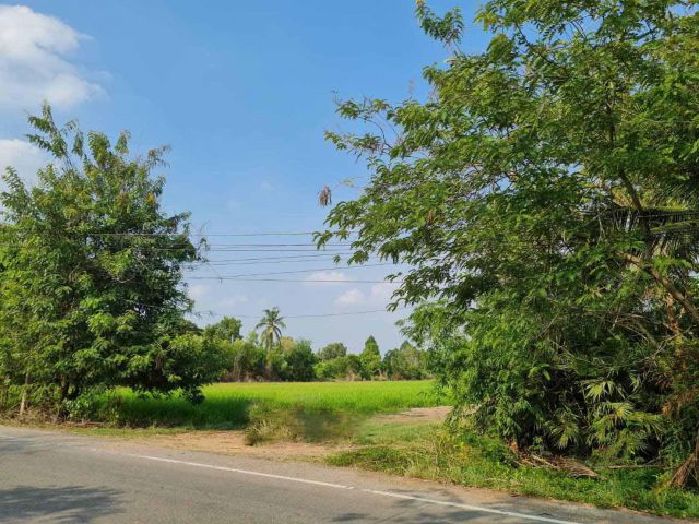 ขายที่ดิน 60 ไร่ คลอง12 ติดถนนเลียบคลองสิบสองฝั่งตะว้นออก ต.หนองสามวัง อ.หนองเสือ จ.ปทุมธานี