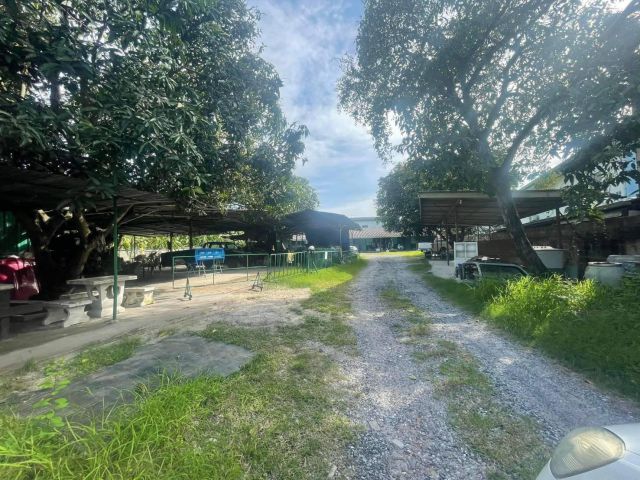 L781 ขายบ้านพร้อมที่ดิน 1 ไร่ เมืองชลบุรี