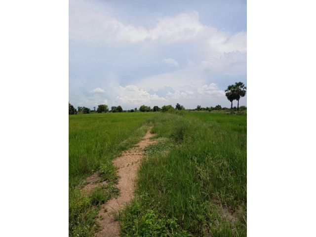 L786 ที่ดินแบ่งขาย 350 ตรว องครักษ์ นครนายก