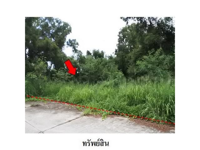 ขายที่ดินว่างเปล่า โครงการ สวนวลีแลนด์ 4  ระยอง
