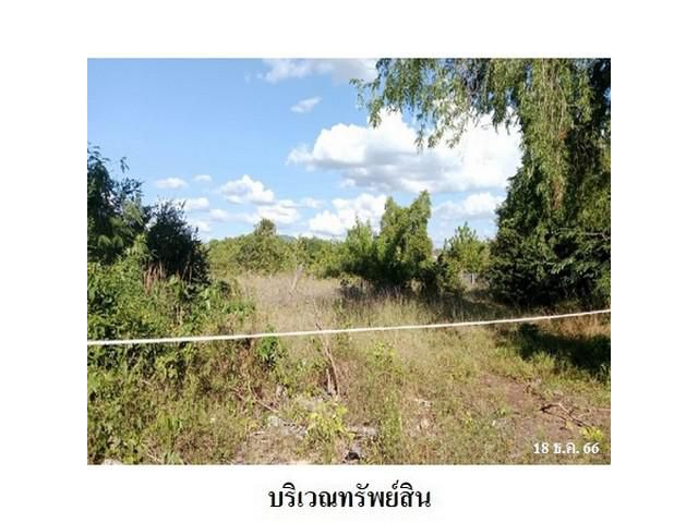ขายที่ดินว่างเปล่า ถนน เลียบหาดแม่รำพึง อ.เมือง ระยอง