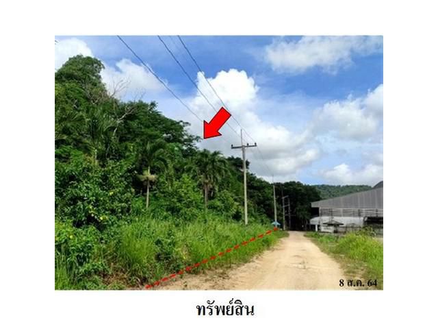 ขายที่ดินว่างเปล่า มะขามคู่ นิคมพัฒนา  ระยอง