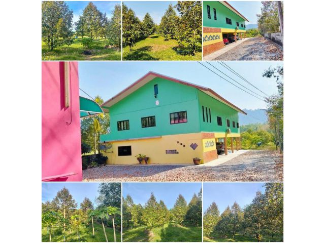 บ้านสวนทุเรียนโฉนด 2 ไร่ ติดถนน