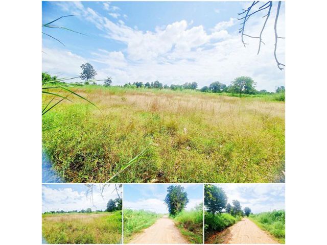 ที่ดินถมสูงกว่าถนนทั้งผืน ท้ายบ้านหนองหลุบ เดินทางสะดวก เข้า.ออกทางเส้นหมู่บ้านหรือทางถนนเลี่ยงเมืองได้ เหมาะทำบ้านสวนมา