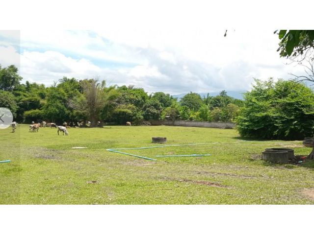 ขายที่ดิน 4 ไร่ บรรยากาศดีมากวิวดอยโอบล้อมติดถนนใกล้เมืองเหมาะปลูกบ้าน/รีสอร์ท/โฮมสเตย์ น้ำไม่ท่วม