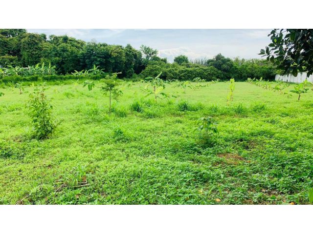 L787 ขายที่ดินสวยทำเลดี 3 ไร่ ศรีราชา ชลบุรี