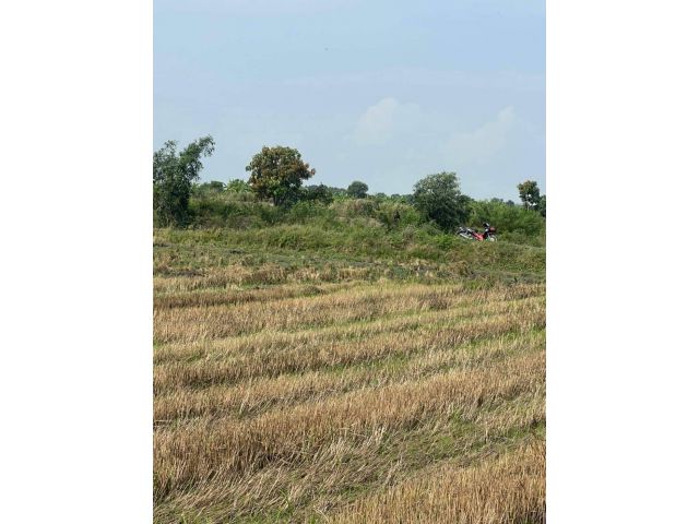 L791 ขายที่นา ใกล้นิคมฯอมตะชลบุรี 10 ไร่ พนัสนิคม ชลบุรี