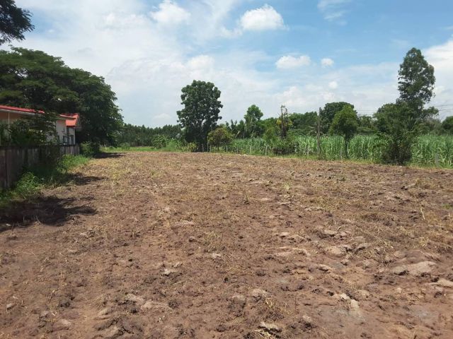 L800 ขายที่ดินถมแล้ว 1 ไร่ พนัสนิคม ชลบุรี