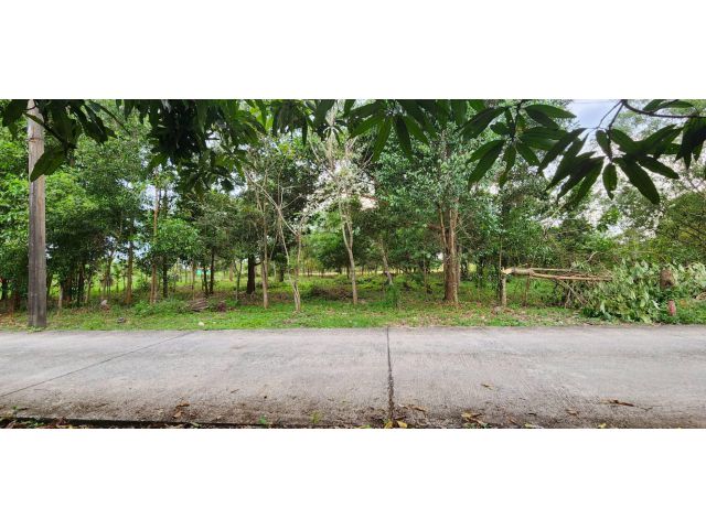 L801 ขายที่ดินถมแล้ว 1 ไร่ เมืองนครนายก