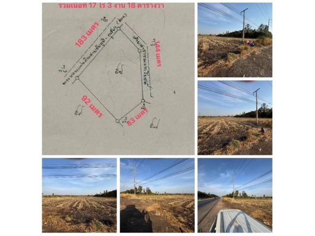 ขายที่ดินติดถนน  ห้วยไร่ ดงเย็น ชัยภูมิ ราคาต่อรองได้