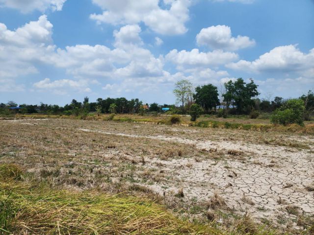 L810 ขายที่ดินสวยทำเลดี 6 ไร่ หน้ากว้าง 209 เมตร เมืองนครนายก