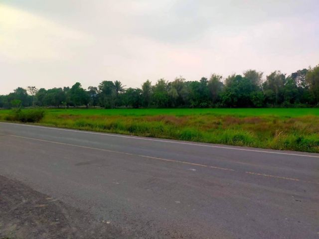 L811 ขายที่นา 363 ตรว หน้ากว้าง 86 เมตร ปากพลี นครนายก
