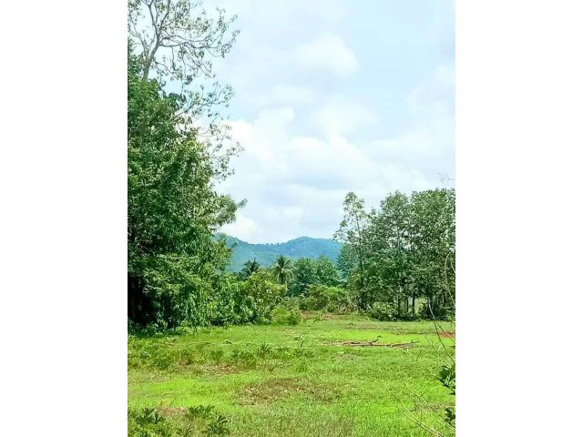 ที่ดินเหมาะทำ โคกหนองนา สวนผลไม้ มีแหล่งน้ำ อ.ท่าปลา อุตรดิตถ์