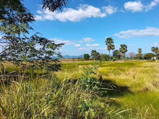 L812 ขายที่ดินบรรยากาศดี 1 ไร่ เมืองนครนายก