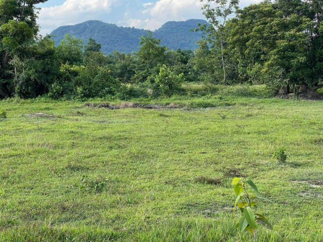 L814 ขายที่ดิน แบ่งขาย/ยกแปลง 7 ไร่ เมืองนครนายก