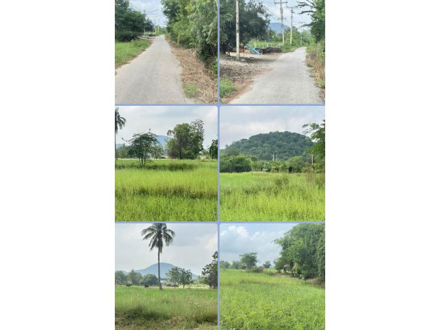 ที่ดินตืดถนนวิวเขา